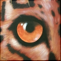 Augenblick eines Leoparden Acryl auf Leinwand;
30 x 30 cm